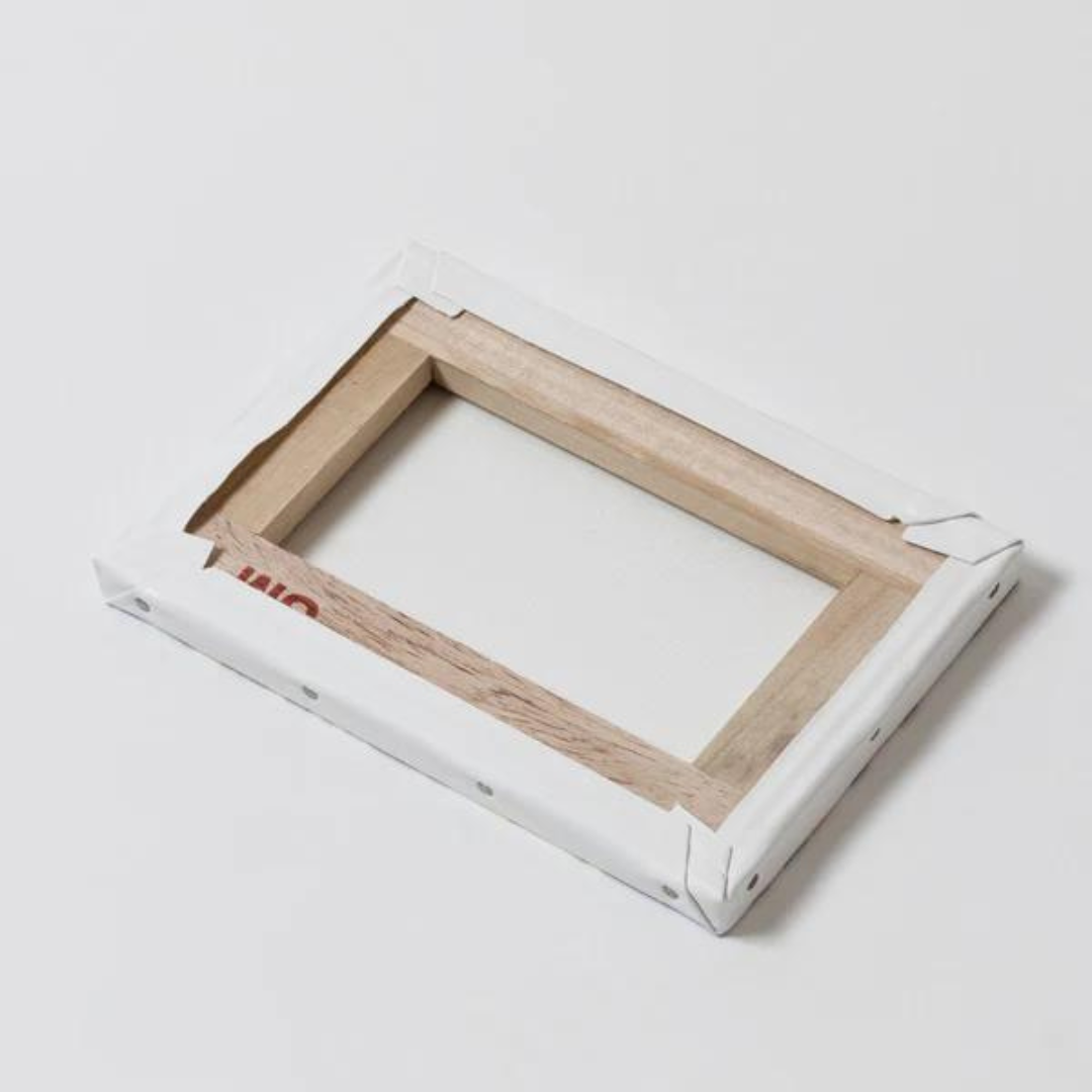 Digimon Partners - Memory Illustration Project Canvas Board