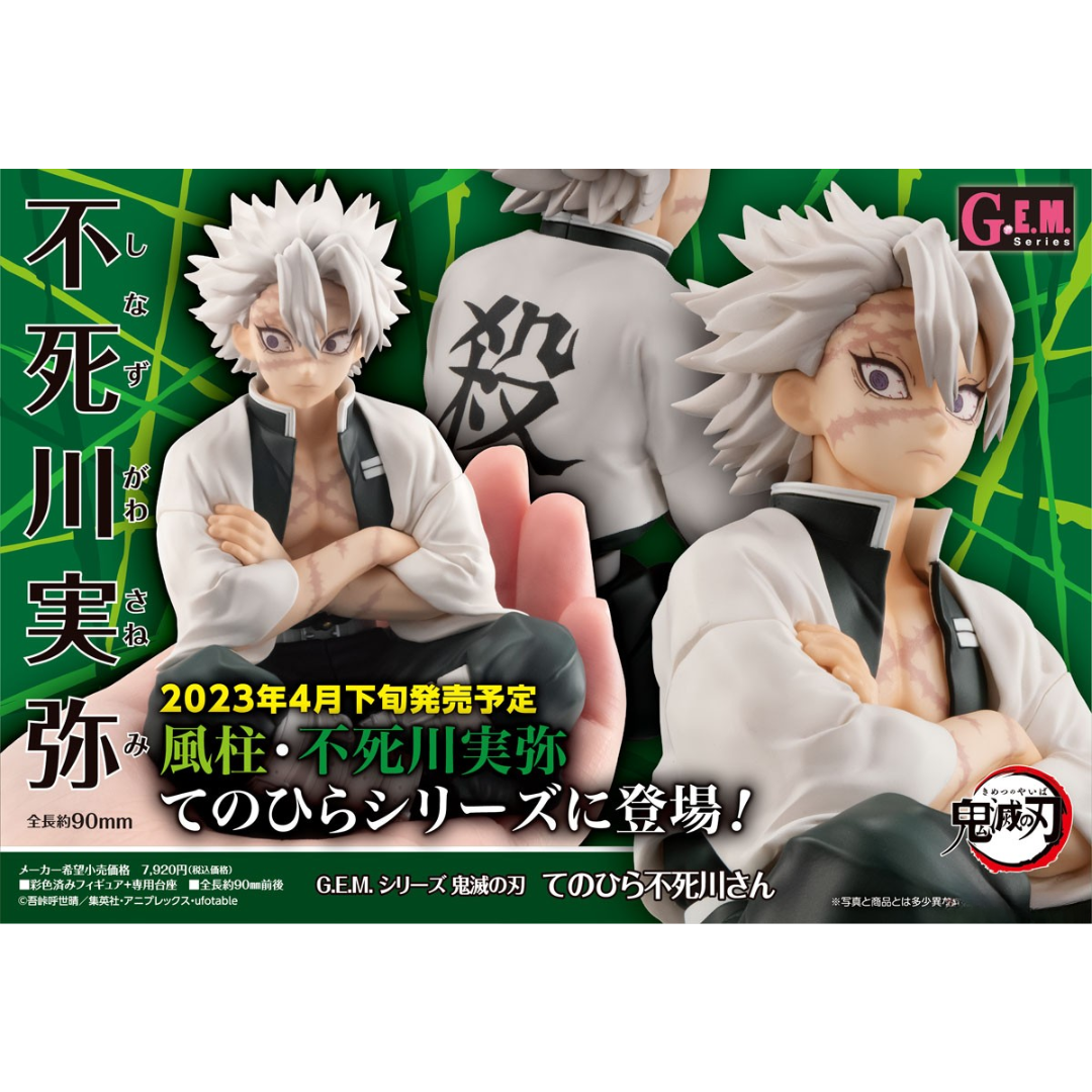 Demon Slayer: Kimetsu no Yaiba - G.E.M. Series - Palm Size Shinazugawa-san [PRE-ORDER](RELEASE JUN26)