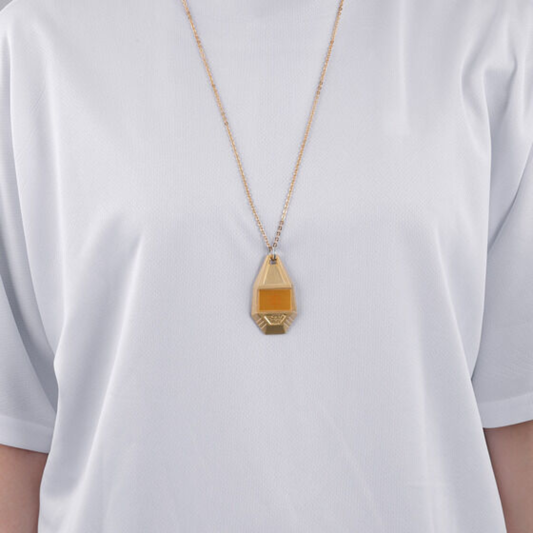 Digimon - Digimon Adventure - Tag & Emblem Accessories Necklace [PRE-ORDER](RELEASE DEC- JAN27)