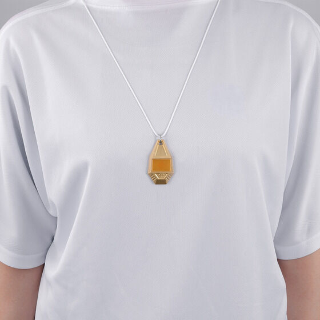 Digimon - Digimon Adventure - Tag & Emblem Accessories Necklace [PRE-ORDER](RELEASE DEC- JAN27)