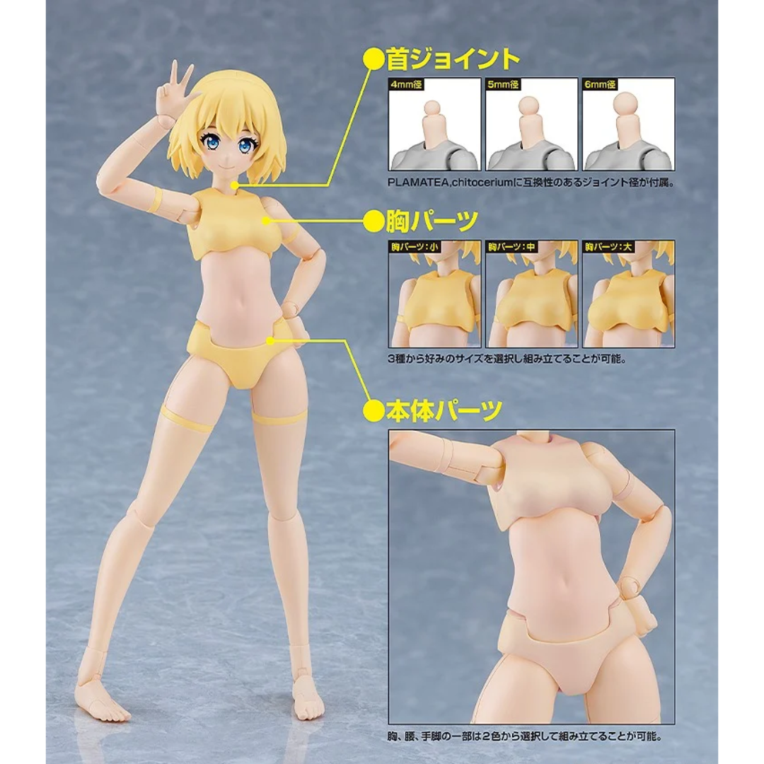 PLAMATEA - Muse Body: Ichika B Type [PRE-ORDER] (RELEASE JAN26)