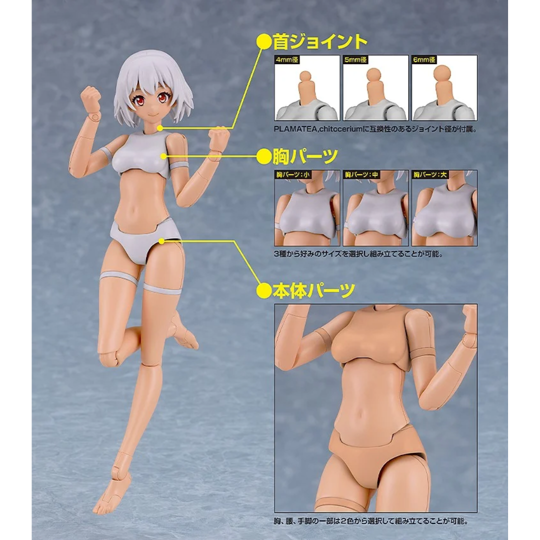PLAMATEA - Muse Body: Ichika C Type [PRE-ORDER] (RELEASE JAN26)