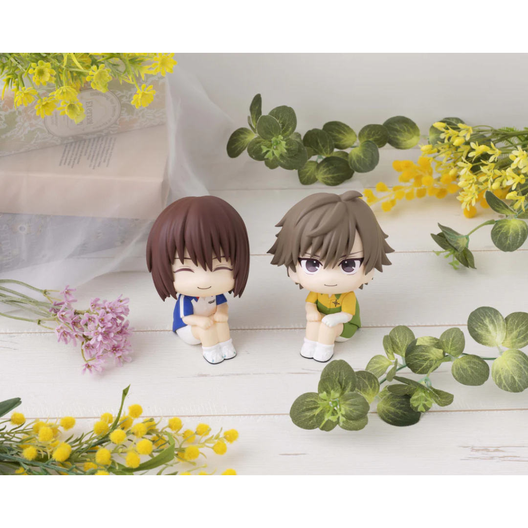 The New Prince of Tennis - LookUp Figure - Shusuke Fuji [PRE-ORDER] (RELEASE NOV26)